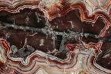 Polished Crazy Lace Agate - Mexico #326705-1